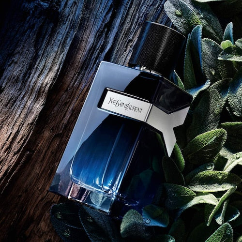 Yves Saint Laurent